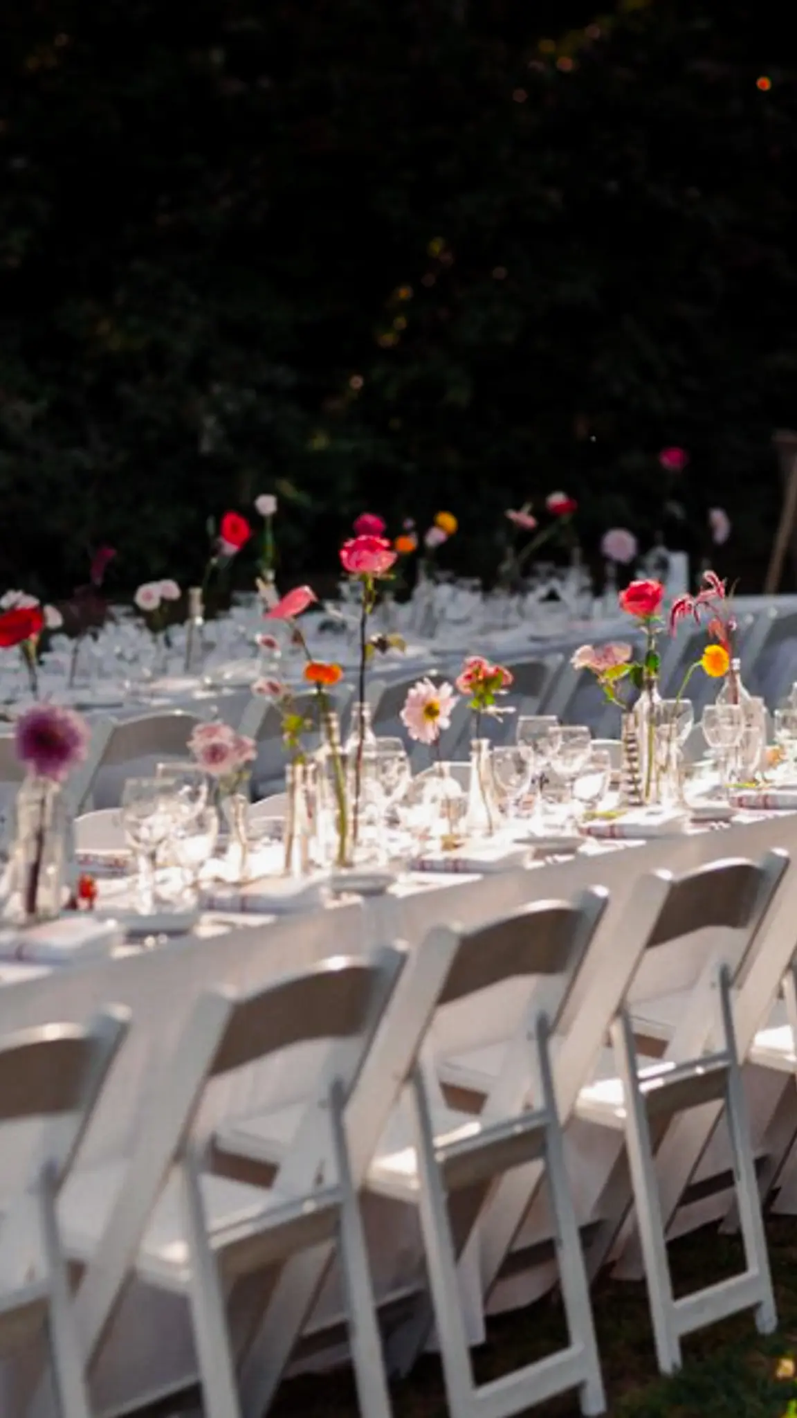 Chair Rentals - San Jose Party Rentals